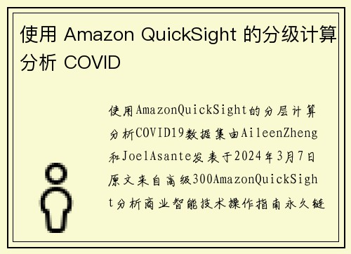 使用 Amazon QuickSight 的分级计算分析 COVID
