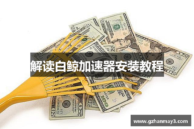 欢迎来到白鲸加速器官網｜白鲸加速器